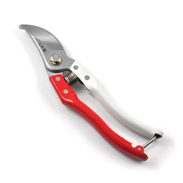 Garden Pruning Shears, Hand Gardening Cutter, Professional Garden Scissors with Straight Stainless Steel Blade, Ultra Sharp Clippers Scissors for Trimming, Fruits, Flowers, Plants